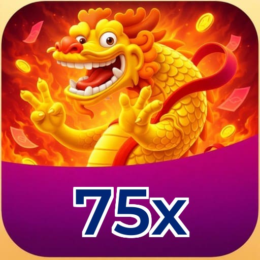 Termos e Condições Transparentes 75x